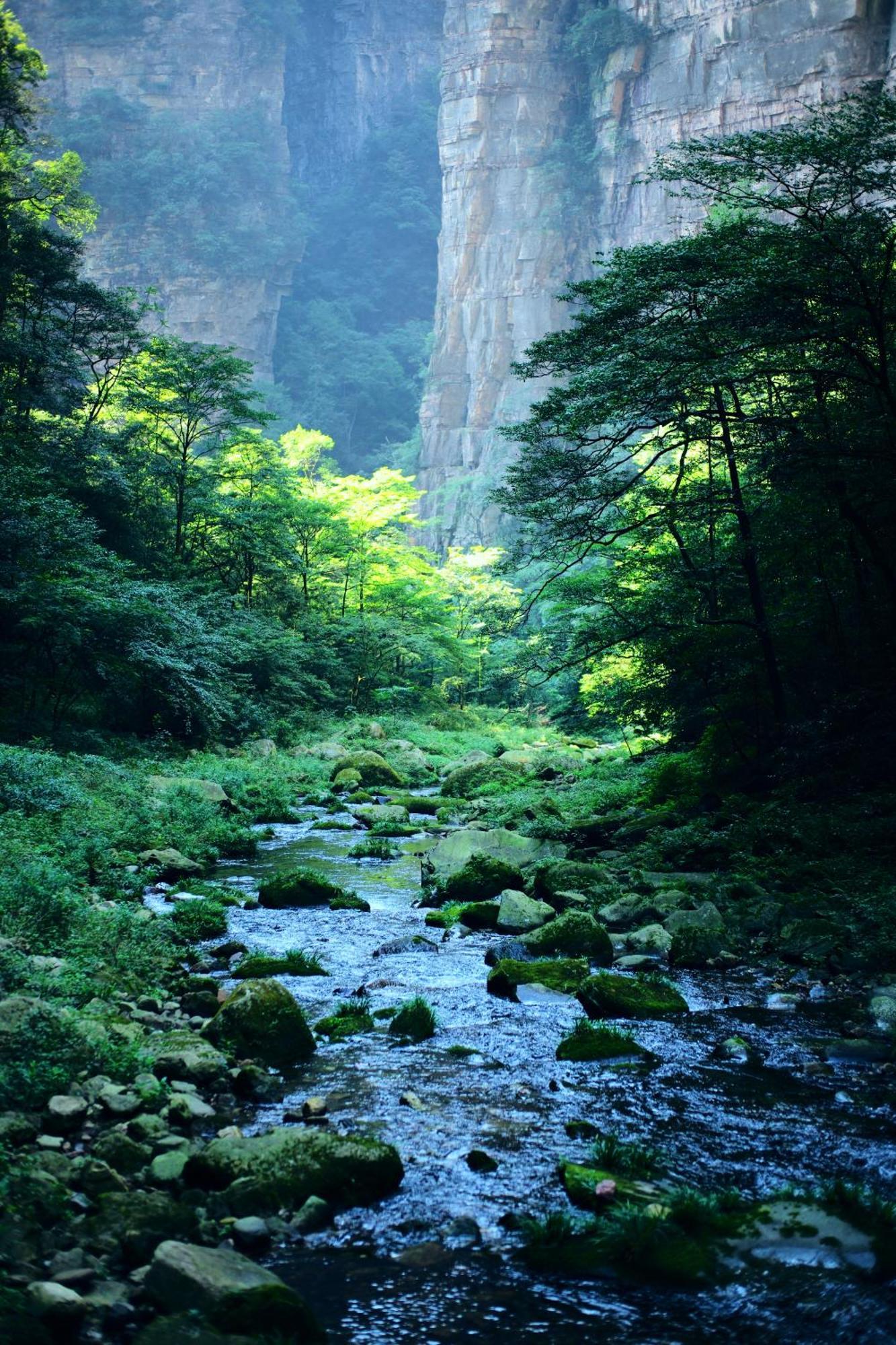 Zhangjiajie Forest Park Youth Hostel Exteriör bild