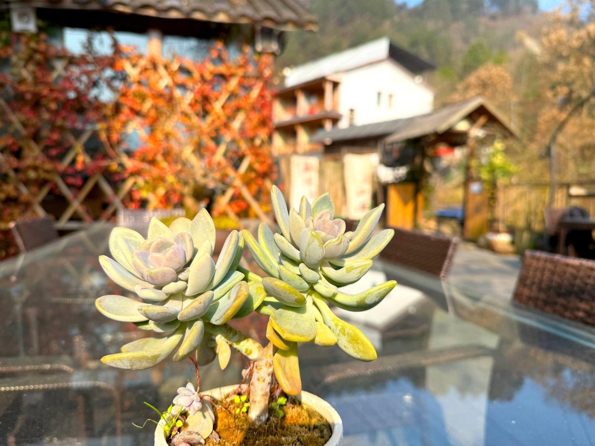 Zhangjiajie Forest Park Youth Hostel Exteriör bild